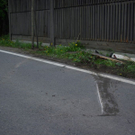 normal_03052010vufmaktivnews_17.jpg