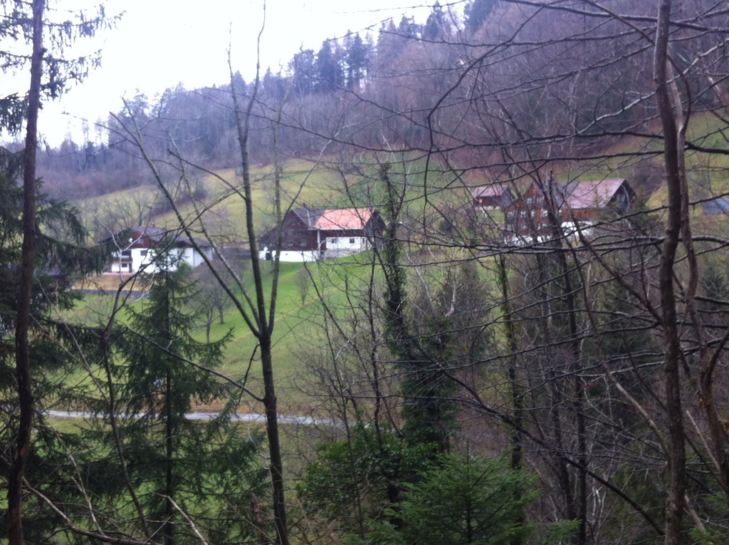 orsanka2014-6.JPG