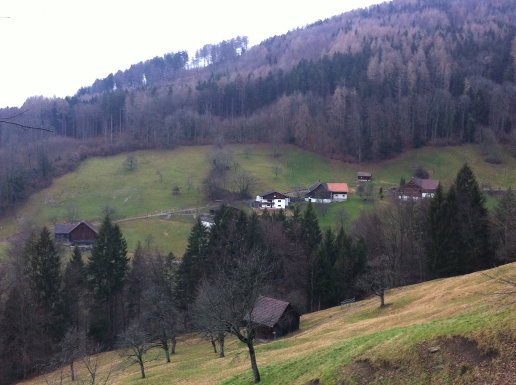 orsanka2014-7.JPG