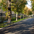 TB3HERBST.jpg