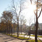 TB4HERBST.jpg