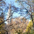 TB5HERBST.jpg