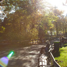 TB8HERBST.jpg
