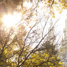 TB9HERBST.jpg