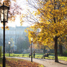 TB11HERBST.jpg