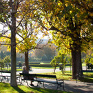 TB13HERBST.jpg