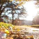 TB14HERBST.jpg