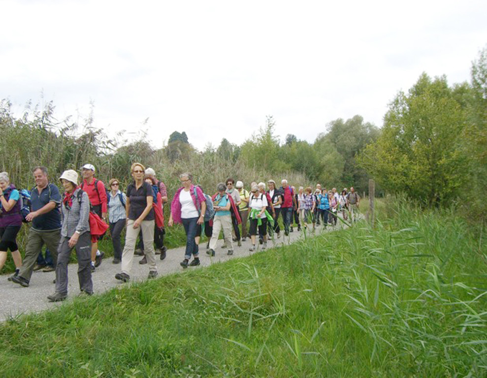 wandern15 am See entlang.jpg