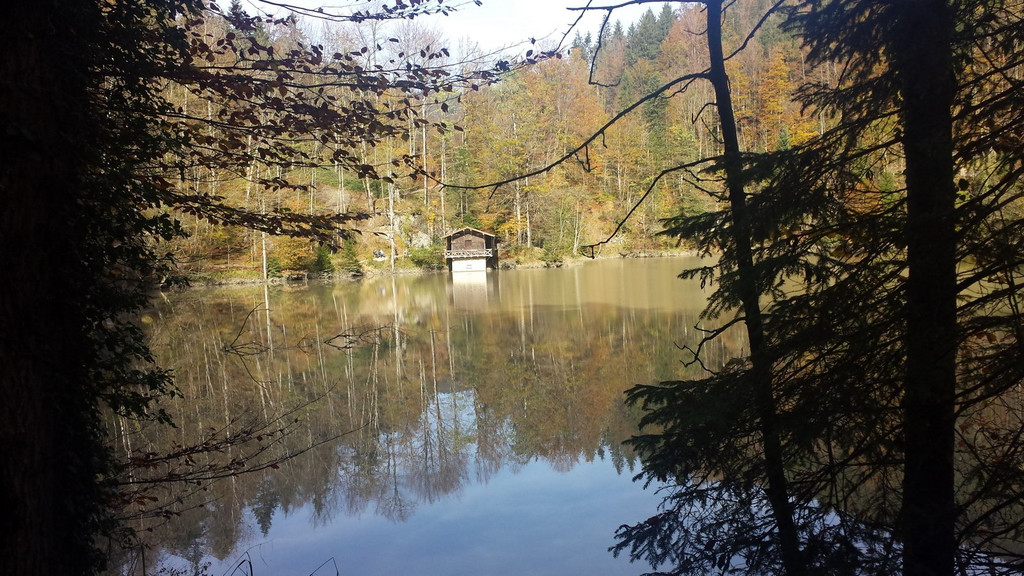 20141014_141842.jpg