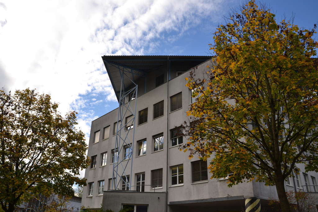 DSC_0427.JPG