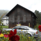 _c_ Gerhard Scopoli - Stall Schruns - 011.jpg