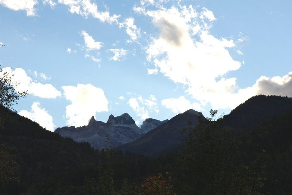 _MG_7048.jpg