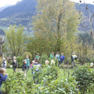 _MG_7054.jpg