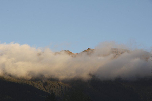 _MG_7065.jpg