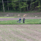 Neue Bilder vom Crash
