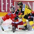 Vienna Capitals gegen HCB Südtirol, 17.10.14