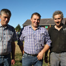 Bilder von der Viehausstellung