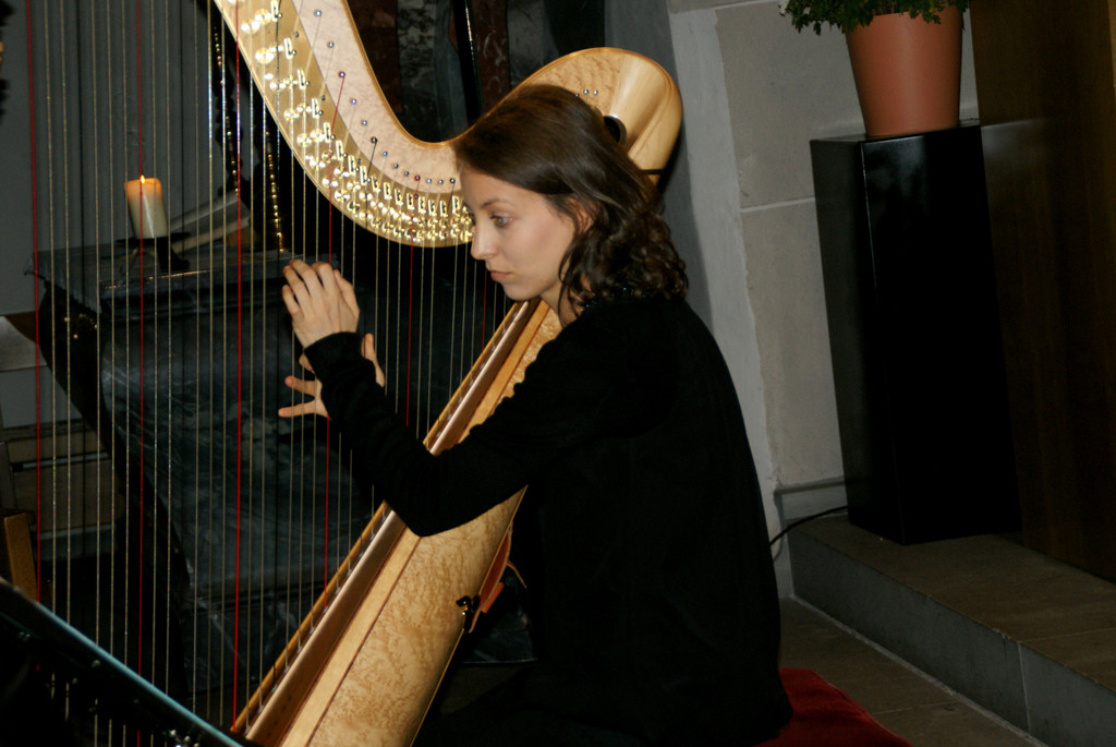 Julia Scheier _Harfe_.JPG