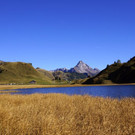 DSC00103.JPG