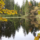 DSC0410.JPG