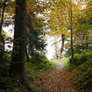 DSC0505.JPG