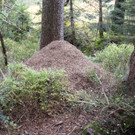 DSC01276.JPG