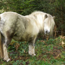 DSC001306.JPG