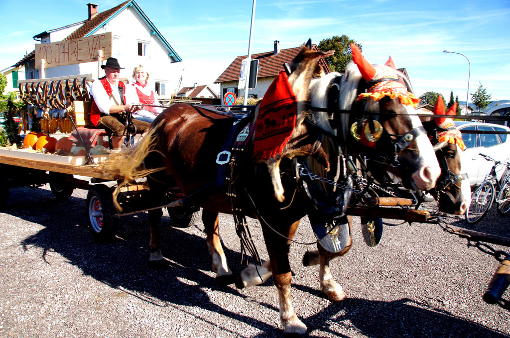 120 Jahre Viehzuchtgenossenschaft Lustenau wurden geb__hrend gefeiert.JPG