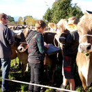 Auf alle Vorz__ge wurde geachtet.JPG