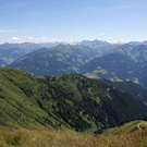 IMG_3367.JPG