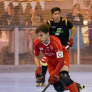 file6hj2crvh7it11pf317zw.jpg