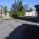 DSC_0460.JPG