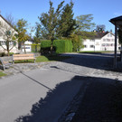 DSC_0461.JPG
