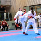 IMG_2234.jpg