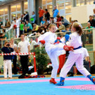 IMG_2274.jpg