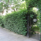 park.jpg
