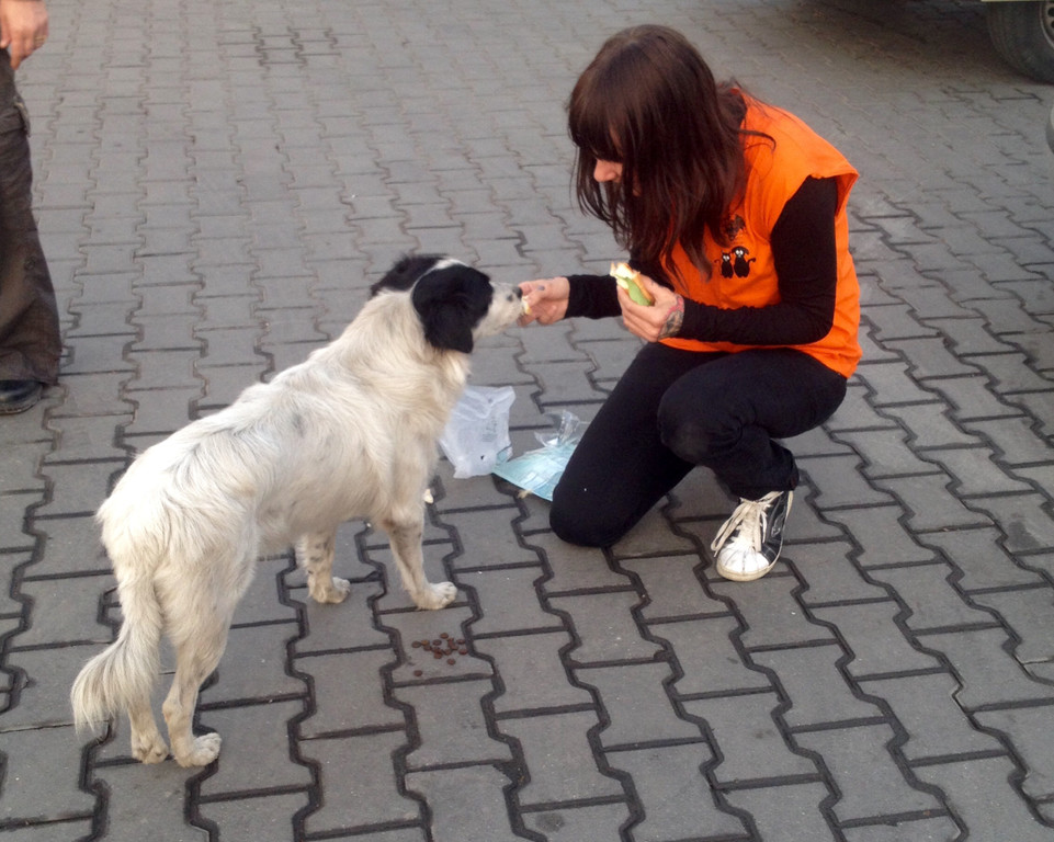 Foto 16_10_14 07 48 05.jpg