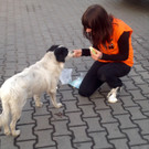 Foto 16_10_14 07 48 05.jpg