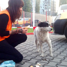 Foto 16_10_14 07 49 32.jpg