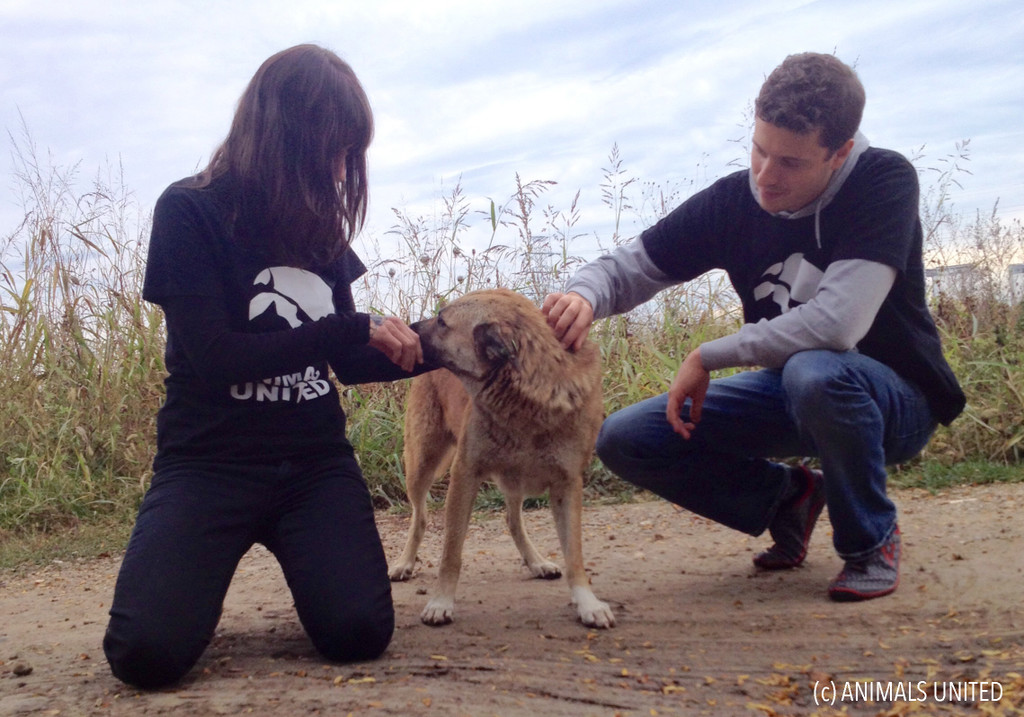 Foto 17_10_14 09 53 37 Kopie.jpg