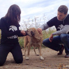 Foto 17_10_14 09 53 37 Kopie.jpg