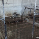 Foto 18_10_14 05 51 43.jpg