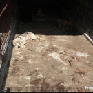 Foto 18_10_14 05 52 43.jpg