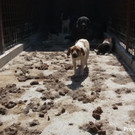 Foto 18_10_14 05 53 09.jpg