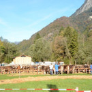 DSC_4153-001.jpg