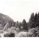 goetzis06.jpg