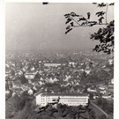 goetzis08.jpg