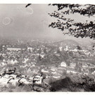 goetzis11.jpg
