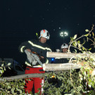 Sturm Gonzalo: Schäden in Niederösterreich