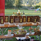 DSC_1210.JPG